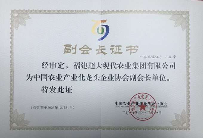 超大 超大現(xiàn)代農(nóng)業(yè) 超大現(xiàn)代農(nóng)業(yè)集團