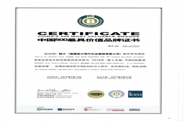 2018年超大品牌價值——456.42億元！