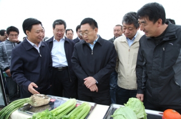 國(guó)家水利部陳雷部長(zhǎng)考察超大節(jié)水灌溉農(nóng)業(yè)