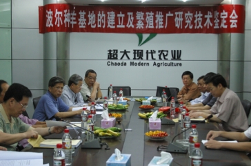福建省科技廳重大科技項目波爾種羊基地的建立及繁育推廣研究技術鑒定會